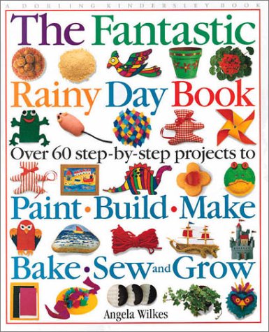 The fantastic rainy day book by Angela Wilkes