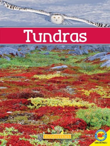 Tundras by Erinn Banting