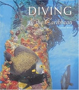 Diving in the Caribbean by Lawson Wood