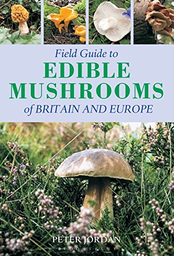 Algopix Similar Product 1 - Field Guide To Edible Mushrooms Of