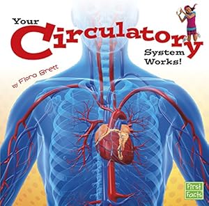 Your Circulatory System Works!