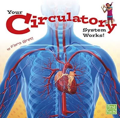 Your Circulatory System Works!