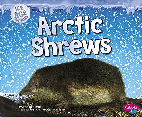 Arctic Shrews by Joy Frisch-Schmoll 
			
			
		
		
		
       	 
       		
       			,
