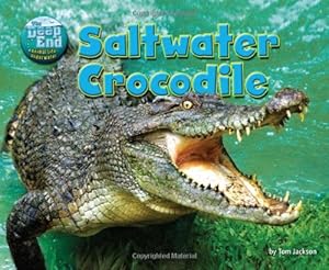 Saltwater Crocodile