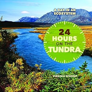 24 Hours on the Tundra