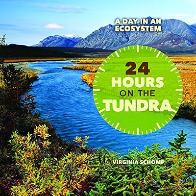 24 Hours on the Tundra