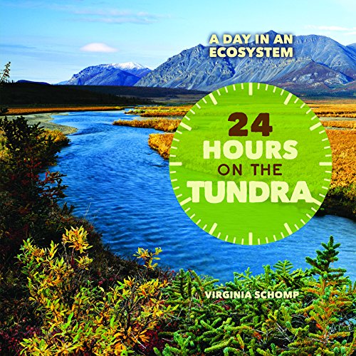 24 Hours on the Tundra by Virginia Schomp