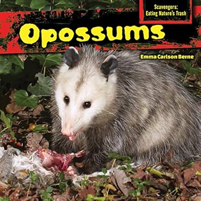 Opossums