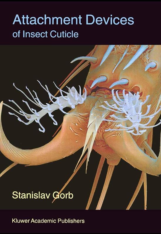 Attachment Devices of Insect Cuticle by Stanislav S. N. Gorb