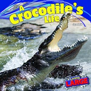 A Crocodile's Life