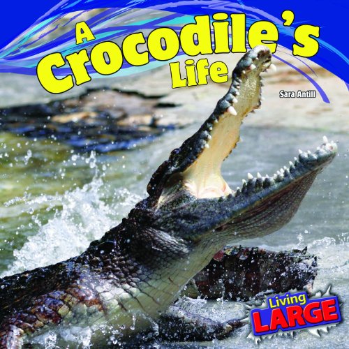 A Crocodile's Life by Sara Antill