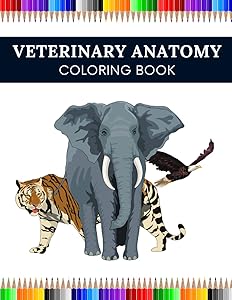 Veterinary Anatomy Coloring Book: Animal Physiology Designs for Students by Perfect Print