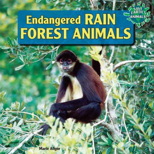 Endangered Rain Forest Animals by Marie Allgor
