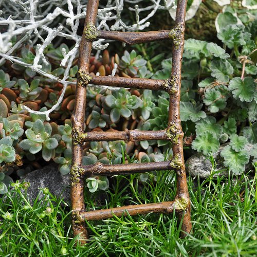 

Miniature Fairy Garden Mossy Twig Ladder