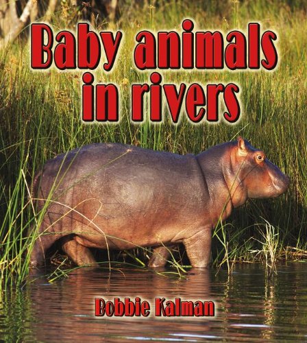 Baby Animals in Rivers (Habitats of Baby Animals) by Bobbie Kalman