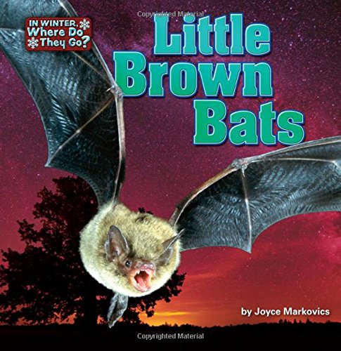 Little Brown Bats by Joyce Markovics