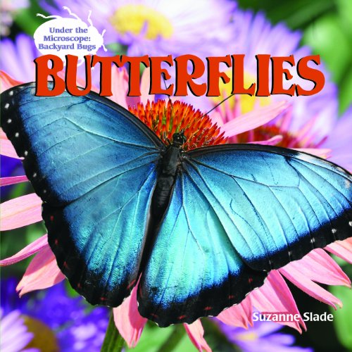 Butterflies (Under the Microscope: Backyard Bugs) by Suzanne Slade