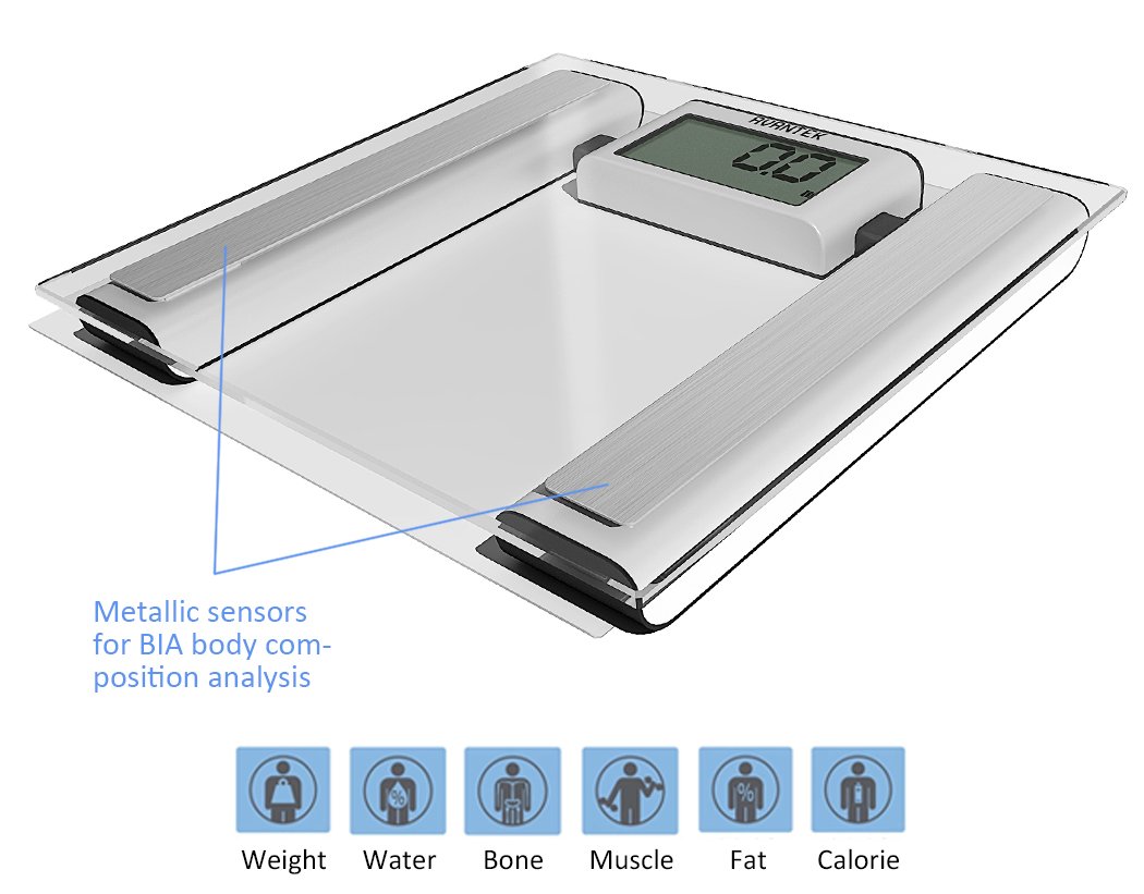 AVANTEK Digital Glass Body Fat Scale Best Digital Scales