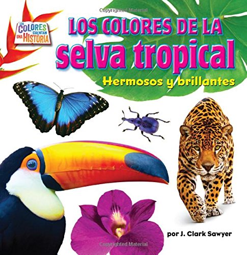 Rain Forest Colors: Bright and Beautiful by J Clark Sawyer