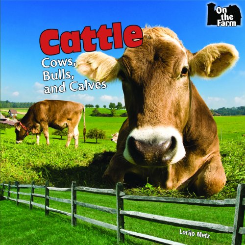Cattle: Cows, Bulls, and Calves by Lorijo Metz