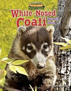 White-Nosed Coati: Raccoon's Cousin