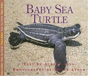 Baby Sea Turtle (Nature Babies)