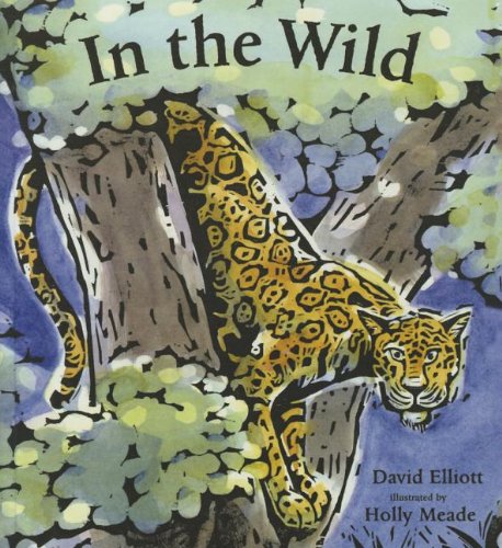 In The Wild by David Elliott