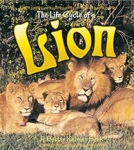 Lion (Life Cycle of A...)