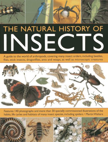 The Natural History Of Insects: A Guide to the World of Arthropods, Covering Many Insect Orders, Including Beetles, Flies, Stick Insects, Dragonflies, Ants and Wasps, as well as Microscopic Creatures by Martin Walters