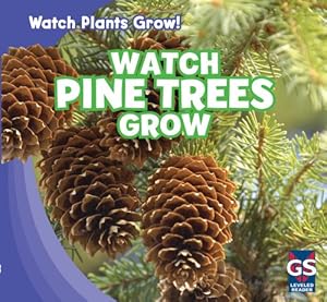 Watch Pine Trees Grow