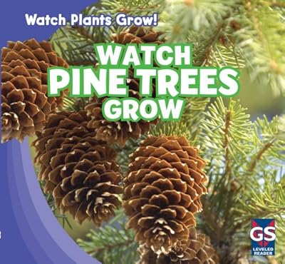 Watch Pine Trees Grow