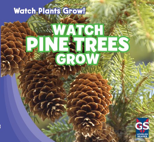 Watch Pine Trees Grow by Therese M. Shea