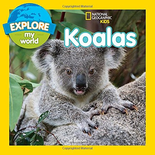 Explore My World Koalas by Jill Esbaum