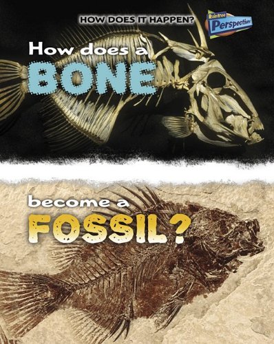 How Does a Bone Become a Fossil? by Melissa Stewart