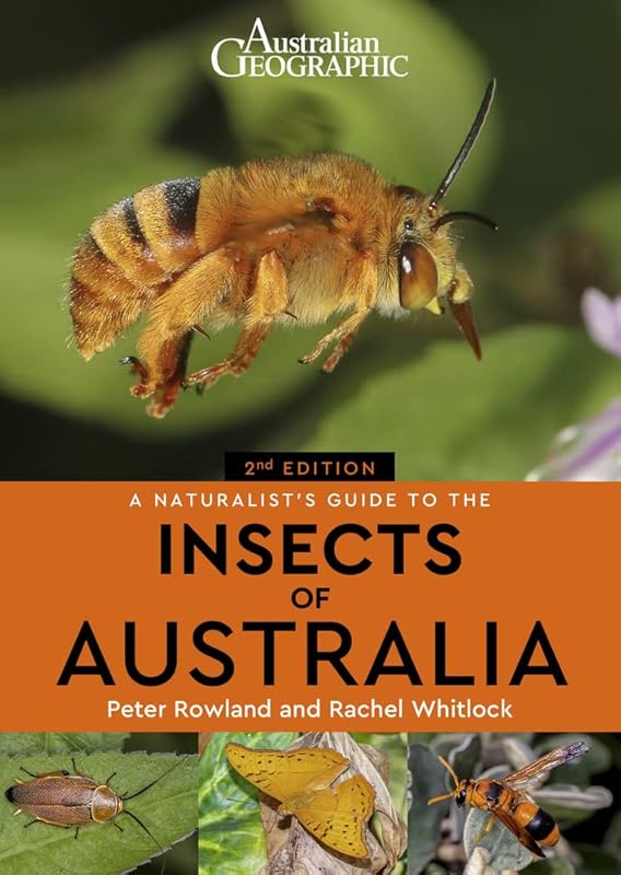 A Naturalist's Guide to the Insects of Australia (Naturalist's Guides) by Peter Rowland