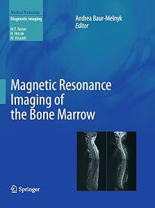 Magnetic Resonance Imaging of the Bone Marrow (Medical Radiology)