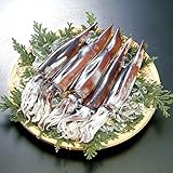 ディメール 青森県八戸産 お刺身用船凍するめいか ［中型サイズ×5本入］（生きたまま急速冷凍だから鮮度抜群！キモまで新鮮　捌き方　塩辛レシピ付）