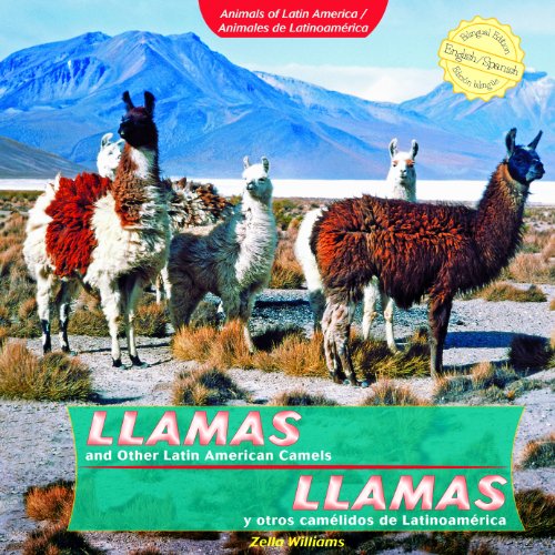 Llamas and Other Latin American Camels/Llamas y Otros Camelidos de Latinoamerica by Zella Williams
