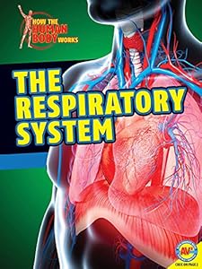 The Respiratory System
