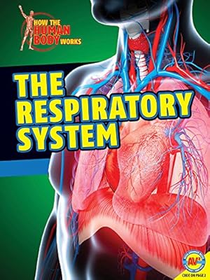 The Respiratory System