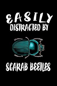 Easily Distracted By Scarab Beetles: Animal Nature Collection