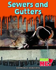 Sewers and Gutters
