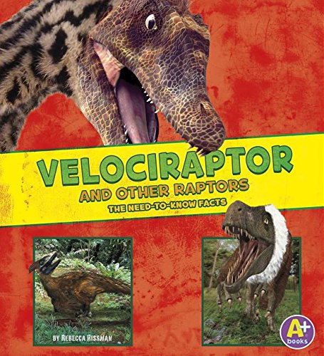 Velociraptor and Other Raptors: The Need-to-Know Facts by Rebecca Rissman