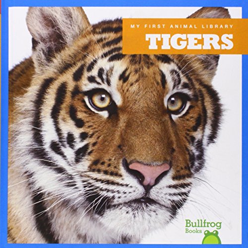 Tigers by Cari Meister