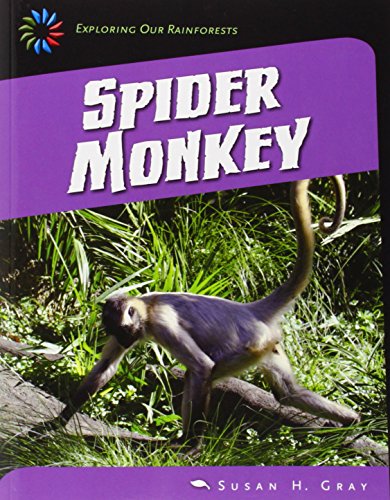 Spider Monkey by Susan Heinrichs Gray