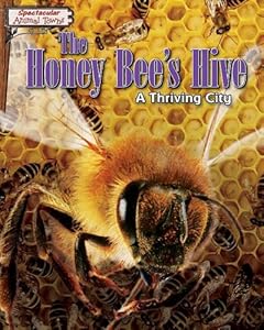 The Honey Bee's Hive: A Thriving City