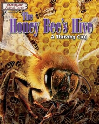 The Honey Bee's Hive: A Thriving City