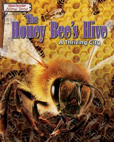 The Honey Bee's Hive: A Thriving City by Joyce Markovics