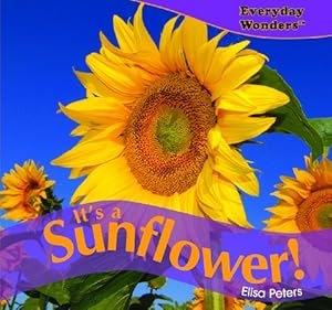 Its a Sunflower! (Everyday Wonders)