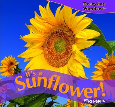 Its a Sunflower! (Everyday Wonders)